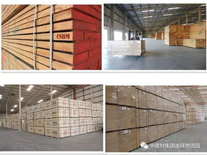 盤點(diǎn)2017年上半年入駐中國(guó)建材迪拜海外倉(cāng)產(chǎn)品動(dòng)態(tài)與銷售趨勢(shì)